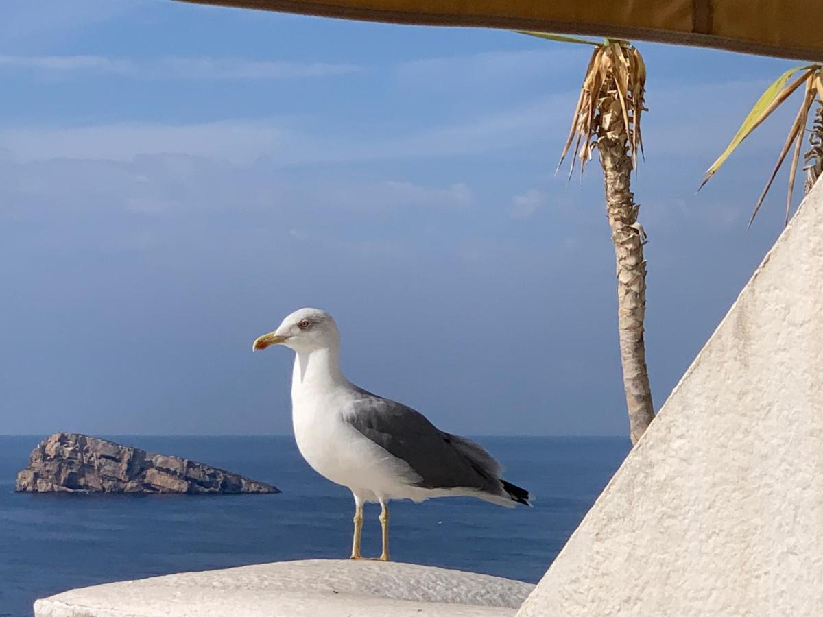 House -sea View-roof Terrace-swimming Pool- * Benidorm